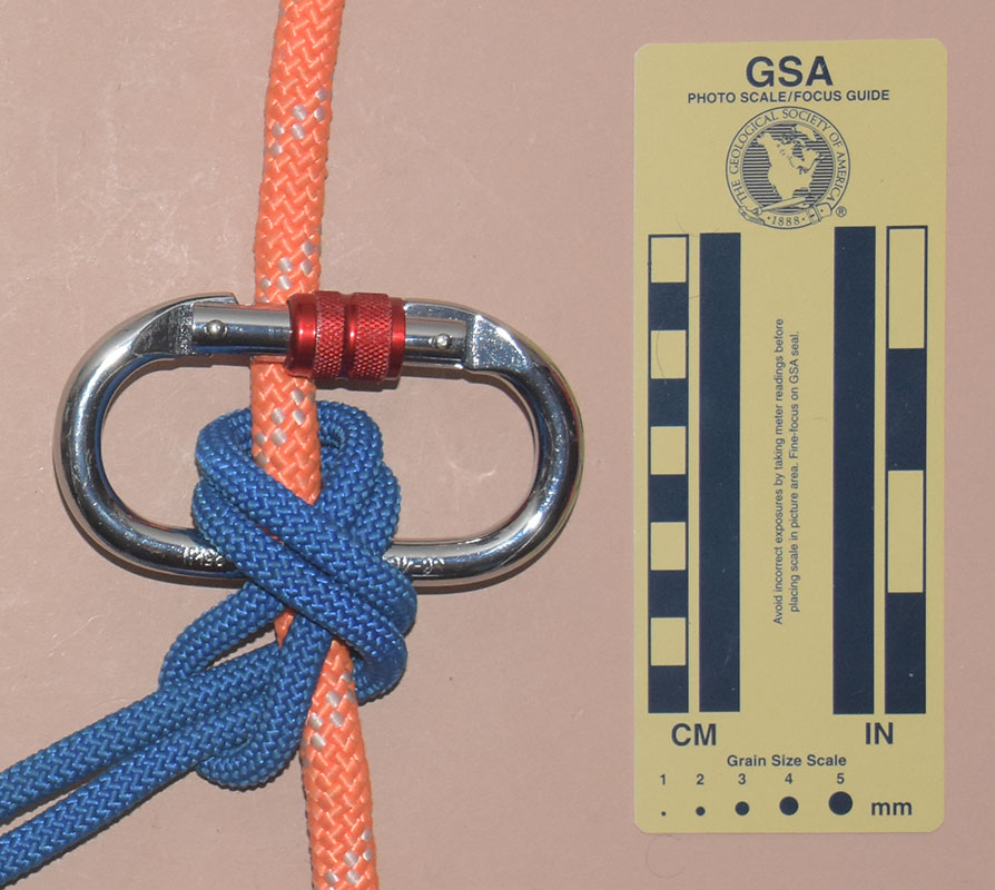 Carabiner Hedden