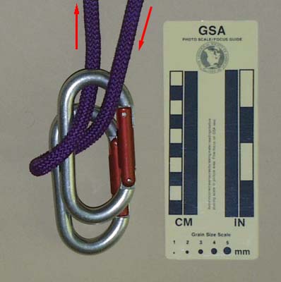 Carabiner Knot: Garda Knot