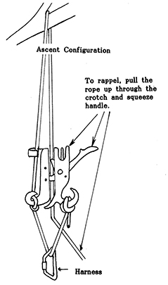 Rigging the Arborist Cinch