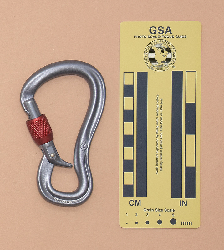 351: Black Diamond GridLock Belay Screwgate Locking  Rear View