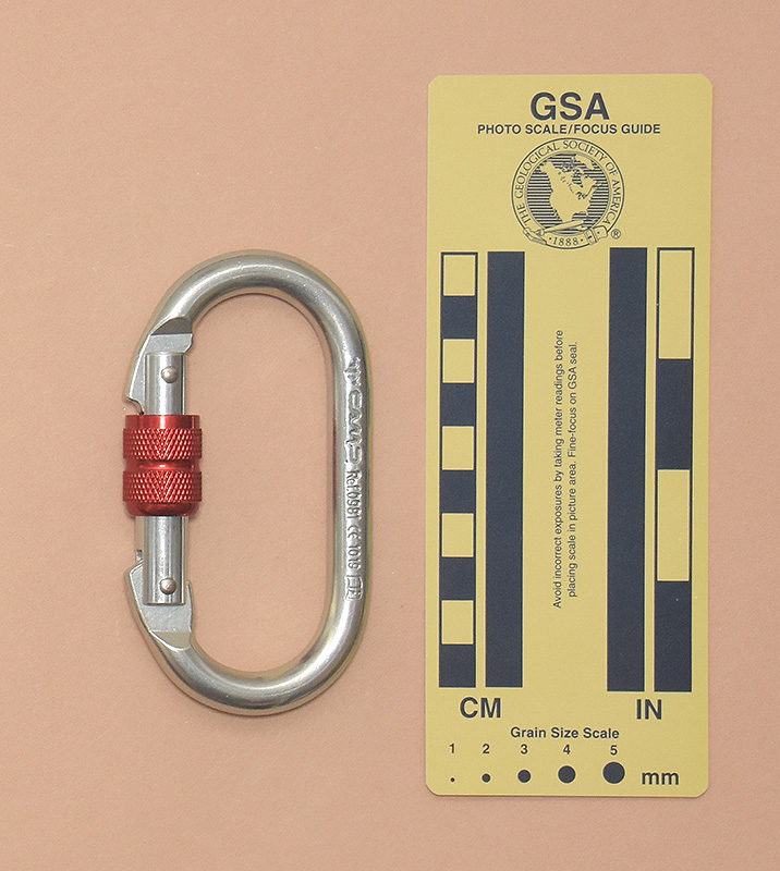 460: CAMP Steel Oval Lock Rear View