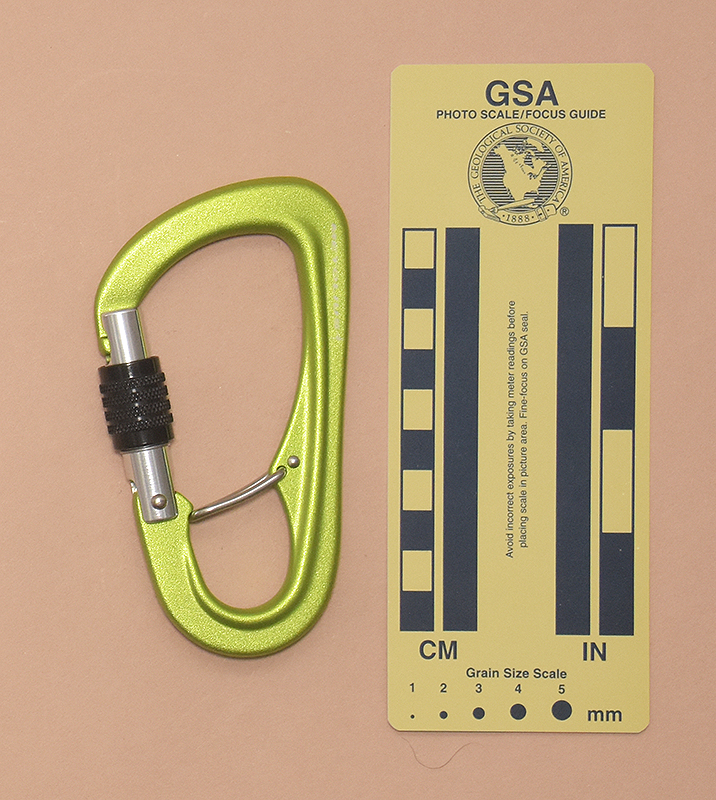 525: Metolius Gatekeeper Belay Carabiner Rear View