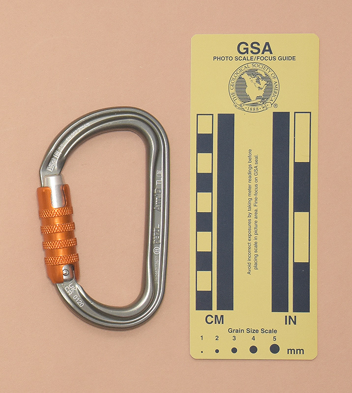 378: Petzl AM'D Triact Autolocking  Rear View