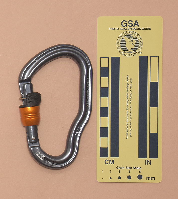 529: Petzl Vertigo Wire-Lock Rear View