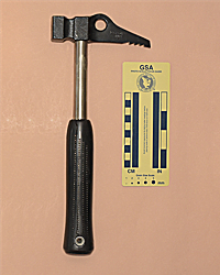 Charlet Moser Dipitoneur