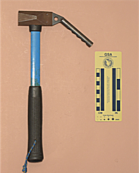 Forrest Mjollnir III