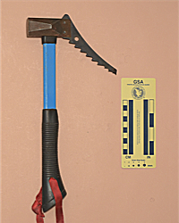 Forrest Mjollnir