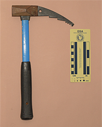 Forrest Mjollnir III