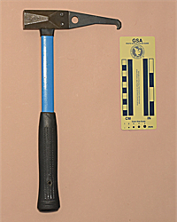 Forrest Mjollnir