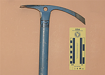 MSR Sumner (prototype spike)