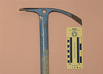 MSR Sumner