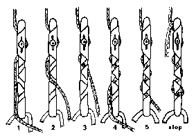 Rigging options