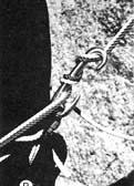 Peck hook