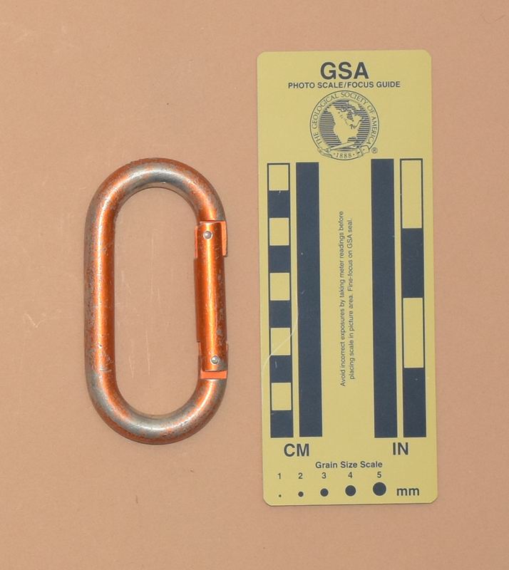 729: SMC Oval Front View