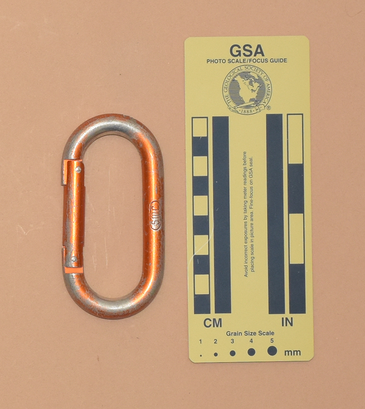 729: SMC Oval Rear View