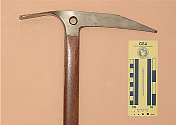 Futamura Yoshinori Standard Model
